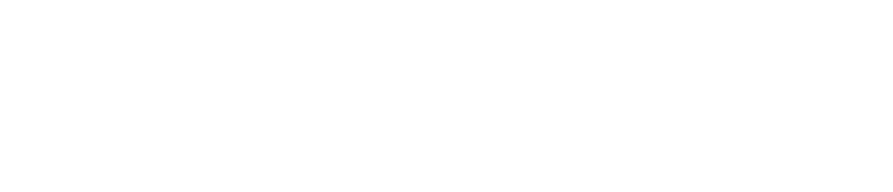 Risk Sciences International website banner - white only