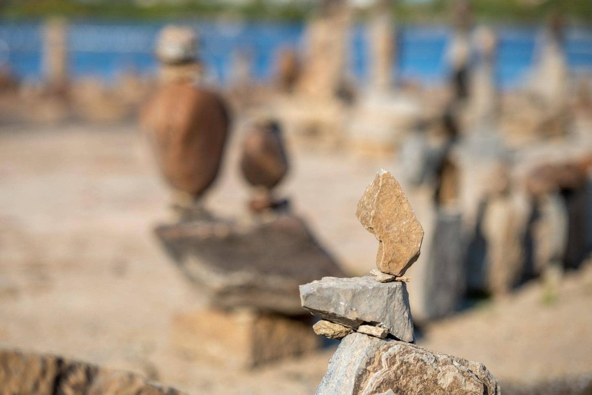 Stones » Risk Sciences International