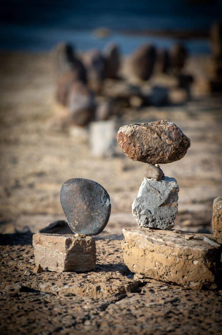 Stones » Risk Sciences International