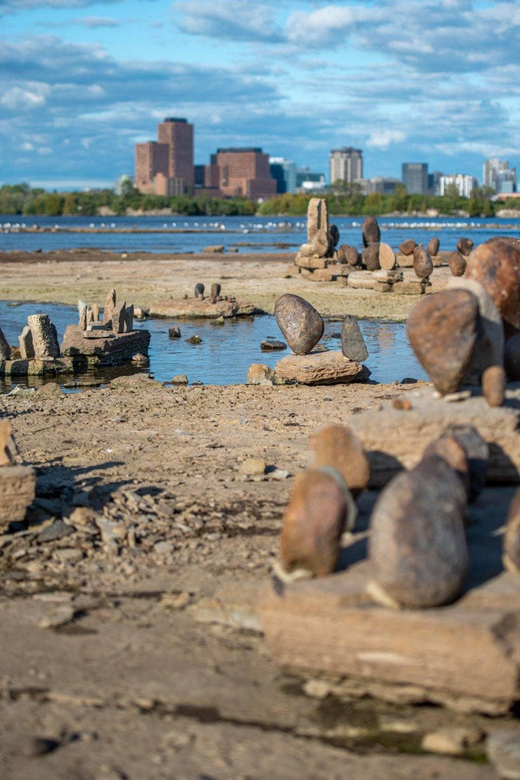Stones » Risk Sciences International
