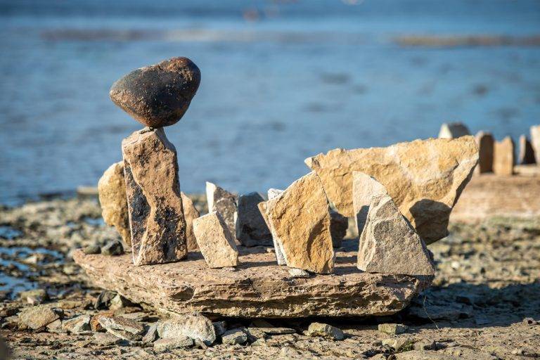 Stones » Risk Sciences International