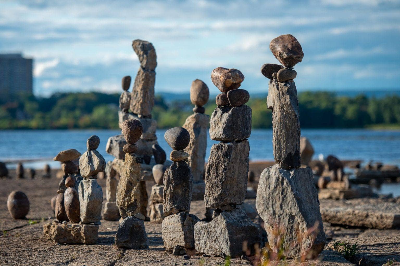 Stones » Risk Sciences International