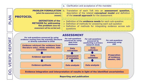 Risk Sciences International 7