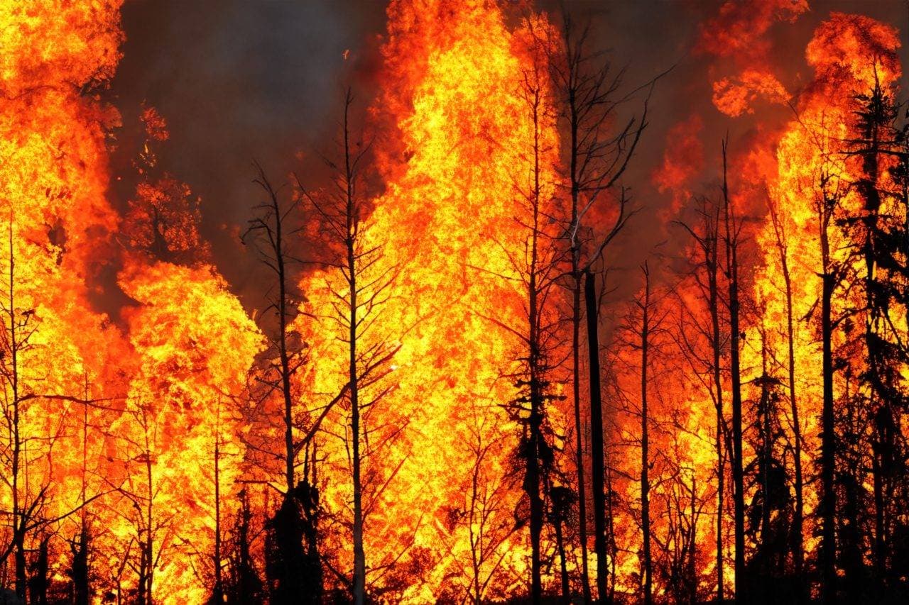 Wildfire policies need rethinking.