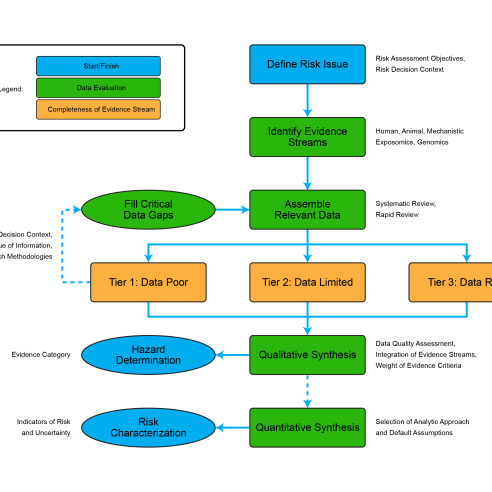 Preliminary evidence-based risk assessment framework