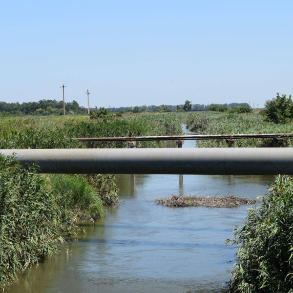 Water Source Contamination