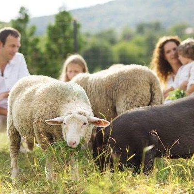 RSI was involved with the study of the impact of zoonotic animal diseases in Canada.
